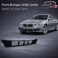 Front Middle Bumper Lower Center Mesh Bezel Grille 51117331724 7331724 Compatible With BMW 5 Series F10 LCI 2014-2016 Tag-BG-61