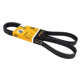 Multi Rib Belt 6PK1555 11281427250 Compatible With BMW 5 (E39) (CONTINENTAL)