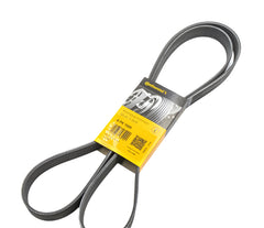 Multi Rib Belt 8PK1955 PQS500450 Compatible With LAND ROVER RANGE ROVER SPORT I (L320) (CONTINENTAL)