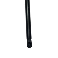 Tailgate Boot Gas Strut 1699800864 A1699800864 Compatible With Mercedes Benz W169 W245