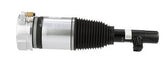 Front Right Air Suspension Shock Absorber Strut 31658904 Compatible With VOLVO XC90 II (256) N.M