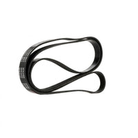 Multi RIB Belt 6PK2490 06E903137R Compatible With AUDI A8 D3 (4E2, 4E8) | A8 / S8 | A8L , Q7 (4LB) (CONTINENTAL)