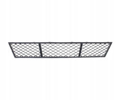 Front Middle Bumper Lower Center Mesh Bezel Grill 51117285950 Compatible With BMW 5 Series (F10) 2011 Tag-BG-54