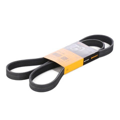 Multi Rib Belt 6PK1460 11287830945 Compatible With BMW 3 Convertible (E93), 3 Coupe (E92) (CONTINENTAL)