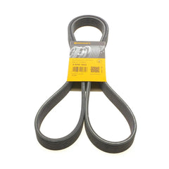 Multi Rib Belt 8DPK1833 Compatible With BMW 7 (F01, F02, F03, F04) (CONTINENTAL)