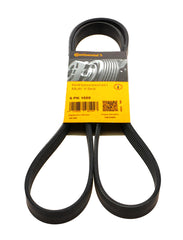 Multi Rib Belt 6PK1555 3473198 Compatible With VOLVO V40 Hatchback (525) (CONTINENTAL)