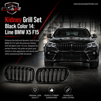 Kidney Grill Set Black Color 14: Line 51137294485 (R.H/L.H) Compatible With BMW X5 F15 Tag 48