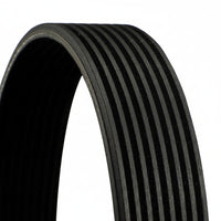 Multi Rib Belt 8PK1955 PQS500450 Compatible With LAND ROVER RANGE ROVER SPORT I (L320) (CONTINENTAL)