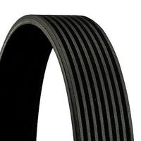 Multi Rib Belt 8PK1955 PQS500450 Compatible With LAND ROVER RANGE ROVER SPORT I (L320) (CONTINENTAL)