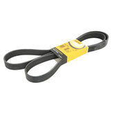 Multi Rib Belt 8PK1955 PQS500450 Compatible With LAND ROVER RANGE ROVER SPORT I (L320) (CONTINENTAL)