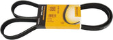 Multi Rib Belt 6PK1538 11281437475 Compatible With BMW 3 (E46), 5 (E60) (CONTINENTAL)