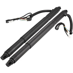 Air Suspension Electric Shock Absorber Strut Left 51247332697 Right 51247332698 Compatible With BMW X6 (E71, E72)