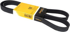 Multi Rib Belt 6PK1460 11287830945 Compatible With BMW 3 Convertible (E93), 3 Coupe (E92) (CONTINENTAL)