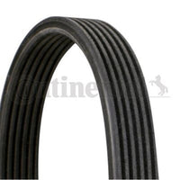 Multi Rib Belt 7DPK1697 11287808107 Compatible With BMW 5 (F10) (CONTINENTAL)