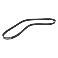Multi RIB Belt 5PK1120 079903137AA Compatible With AUDI A8 D4 (4H2, 4H8, 4HC, 4HL) | A8 / S8 | A8L (CONTINENTAL)