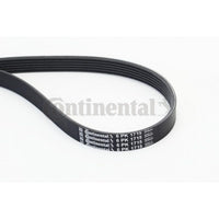 Multi Rib Belt 6PK1715 11288573252 Compatible With BMW X1 (F48) (CONTINENTAL)