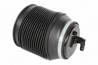 Rear Right Air Suspension Spring 4808060010 4808060020 Compatible With TOYOTA LAND CRUISER PRADO _J15_