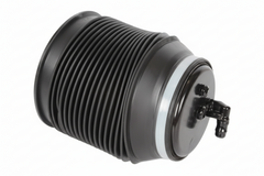 Rear Right Air Suspension Spring 4808060010 4808060020 Compatible With TOYOTA LAND CRUISER PRADO _J15_