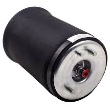 Rear Air Suspension Springs Right 37126750356 & Left 37126750355 Compatible With BMW X5 E53