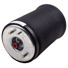 Rear Air Suspension Springs Right 37126750356 & Left 37126750355 Compatible With BMW X5 E53