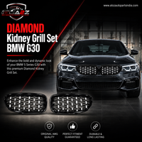 DIAMOND Kidney Grill Set 51137383520 (R.H/L.H) Compatible With BMW 5 Series G30 Tag 53