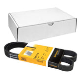 Multi Rib Belt 6PK1110 A0009931700 Compatible With MERCEDES-BENZ C-CLASS (W205) C-CLASS Convertible (A205) E-CLASS (W213) GLC (X253) (CONTINENTAL)