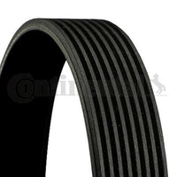 Multi Rib Belt 8PK1785 11287628658 Compatible With BMW 5 (F10) (CONTINENTAL)