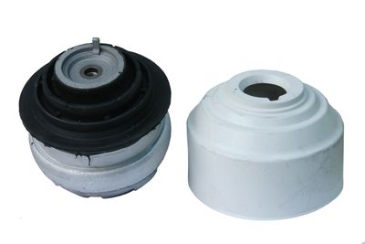 Front Engine Mount 2202400717 Compatible With MERCEDES-BENZ S-CLASS W220 W221