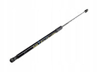 Gas Spring 4M0823359B Compatible With Audi (Q7)