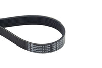 Extra Multi Rib Belt 8PK1162 11288597653 Compatible With BMW 3 (G20, G80, G28), X3 (G01, F97, G08) (CONTINENTAL)