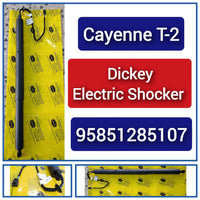 Air Suspension Electric Shock Absorber Strut 95851285107 Compatible With PORSCHE CAYENNE (92A) Doubel Cupler