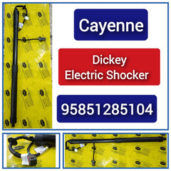 Air Suspension Electric Shock Absorber Strut 95851285104 Compatible With PORSCHE CAYENNE (92A)