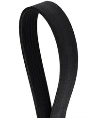 ELAST-MULTI-RIB BELT 6PK989 04C260849E Compatible With VW POLO V (6R1, 6C1) (CONTINENTAL)