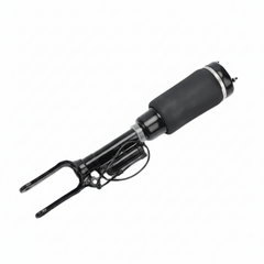 Front Air Suspension Shock Absorber Strut 2513203013 2513205613 A2513203013 A2513205613 2513203113 2513205713 Compatible With MERCEDES-BENZ R-CLASS (W251, V251)
