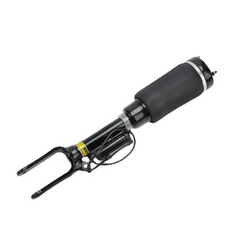 Front Air Suspension Shock Absorber Strut 2513203013 2513205613 A2513203013 A2513205613 2513203113 2513205713 Compatible With MERCEDES-BENZ R-CLASS (W251, V251)