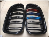 Multi Colour Kidney Grill Set 51137331771 (R.H/L.H) Same Compatible With BMW 5 Series F10 Tag 12