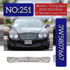 Silver Front Lower Grill 3W5807667 Compatible With Bentley Flying Spur (2009-2012) Tag No.251