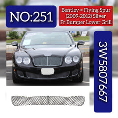 Silver Front Lower Grill 3W5807667 Compatible With Bentley Flying Spur (2009-2012) Tag No.251