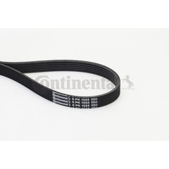 Multi Rib Belt 6PK1555 11281427250 Compatible With BMW 5 (E39) (CONTINENTAL)