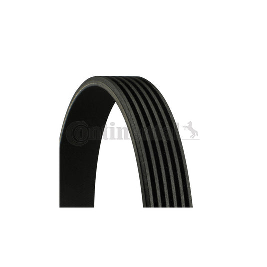 ELAST-MULTI-RIB BELT 6PK989 04C260849E Compatible With VW POLO V (6R1, 6C1) (CONTINENTAL)