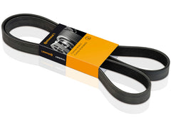 Multi Rib Belt 6PK1700 11288507415 Compatible With BMW 5 (F10), 7 (F01, F02, F03, F04) (CONTINENTAL)