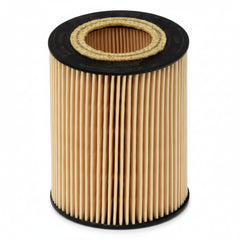 Oil Filter E106H D171 & 30750013 LR001419 LR001441 & OX433D Compatible With VOLVO S60 II (134) & S80 II (124) & XC90 I (275) Tag 115