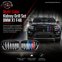 Multi Color Kidney Grill Set 51117383366 (R.H/L.H) Compatible With BMW X1 F48 Tag 32
