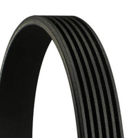 Multi Rib Belt 6PK1990 LR035502 12314487081 12317516101 Compatible With LAND ROVER RANGE ROVER IV (L405) (CONTINENTAL) Tag no : 54