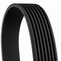 Multi Rib Belt 8PK1785 11287628658 Compatible With BMW 5 (F10) (CONTINENTAL)