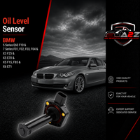 Oil Level Sensor 12617607909 12617543091 12617548062 12617567722 Compatible With BMW 5 Series E60 F10 & 7 Series F01, F02, F03, F04 & X3 F25 & X5 E70 & X5 F15, F85 & X6 E71