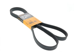 Multi Rib Belt 6PK1893 11287803476 Compatible With BMW X5 (E70), X6 (E71, E72) (CONTINENTAL)