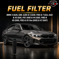 Fuel Filter  H600WK & 13328582008 & KL872 13328582272 13328591018 13328591019 Compatible With BMW 3 (G20, G80, G28) & 5 (G30, F90) & 7 (G11, G12) & X3 (G01, F97, G08) & X4 (G02, F98) & X5 (G05, F95) & X5 Van (G05) & X7 (G07) Tag : 158