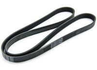 Multi Rib Belt 6PK1555 11281427250 Compatible With BMW 5 (E39) (CONTINENTAL) Tag No.7