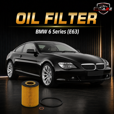 Oil Filter 11427521008 11427542021  E203H04 D67 & OX636D Compatible with BMW 6 Series (E63) Tag 245